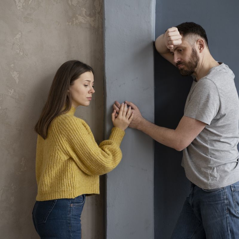 Taller Lo Que Tu Pareja Te Muestra de Ti