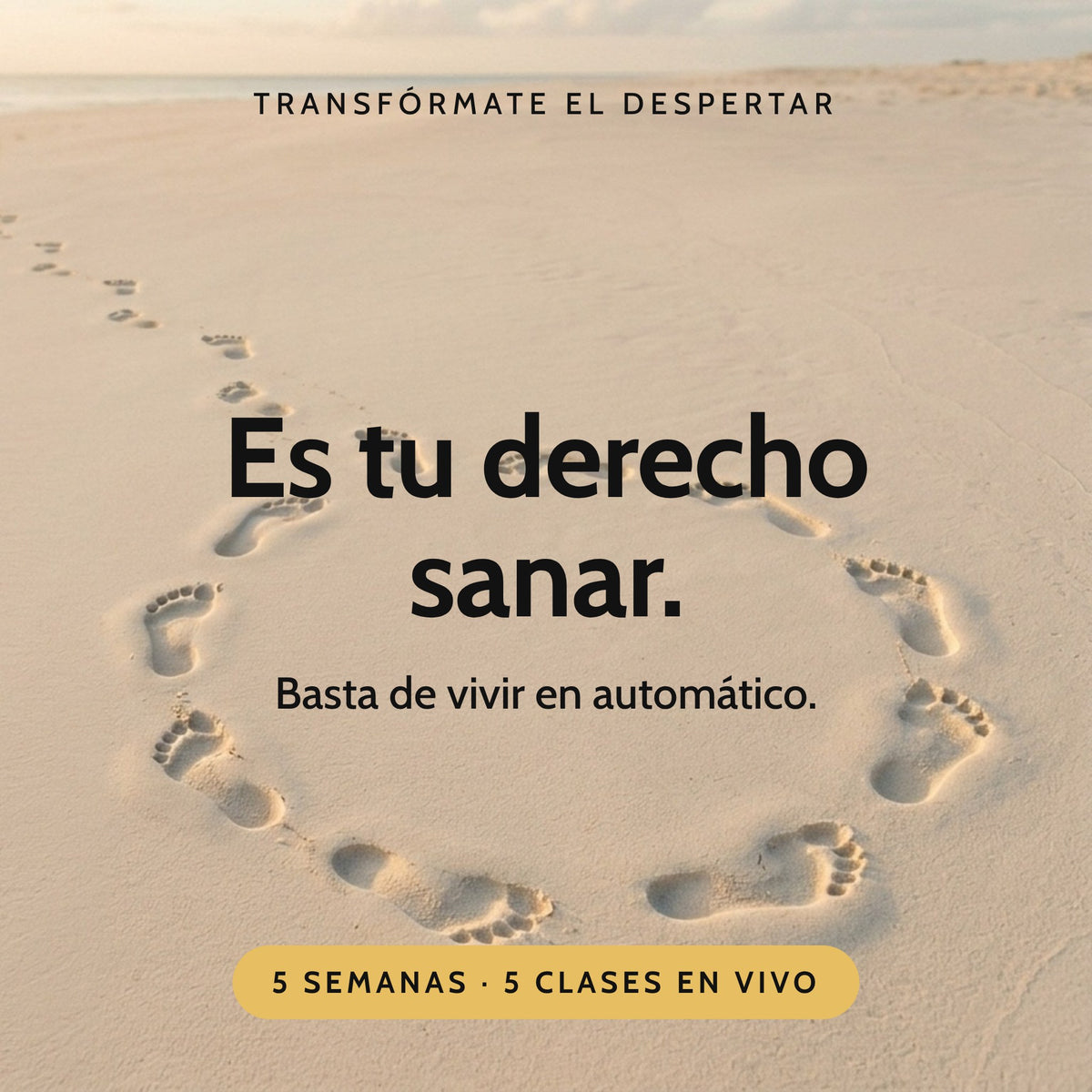 Es tu derecho sanar. Basta de vivir en automático