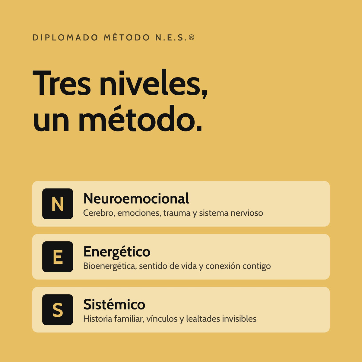 Tres niveles, un método: Neuroemocional, Energético y Sistémico