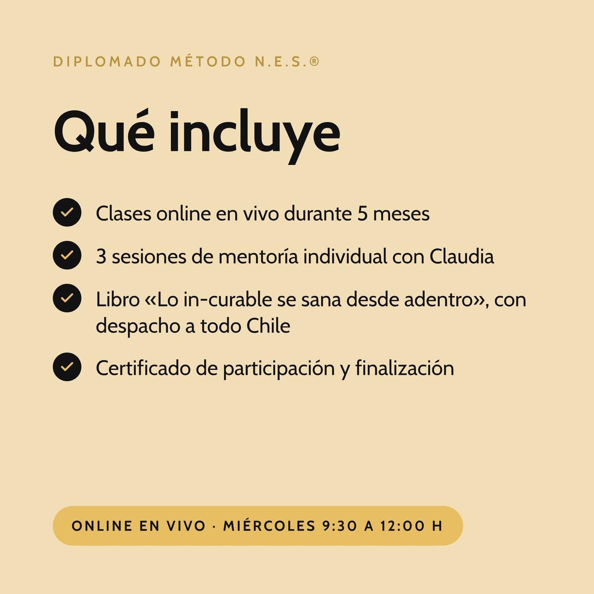 Qué incluye el Diplomado: clases en vivo, mentoría individual, libro con despacho a todo Chile y certificado de participación y finalización